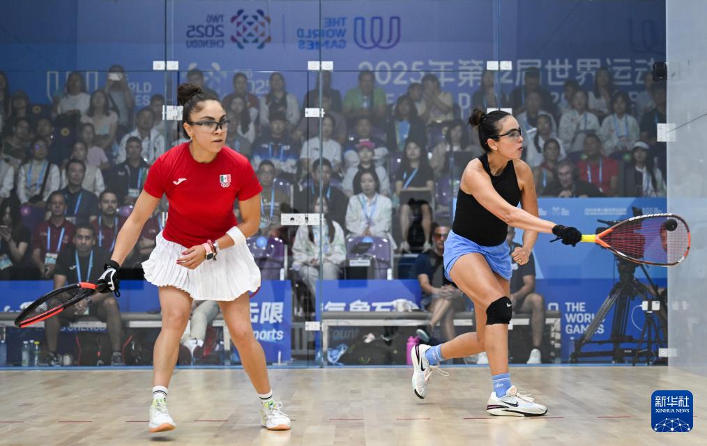 短柄墙球 短柄墙球