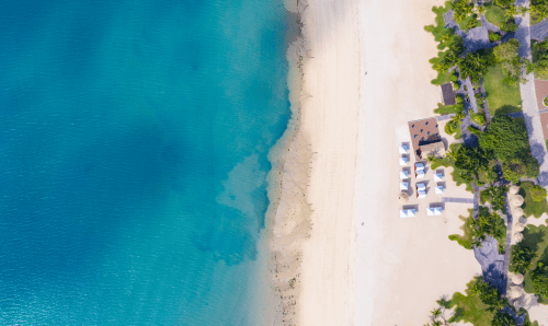 森林城市以, 第二家园