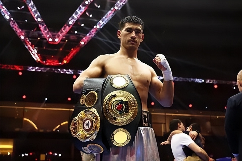 沃尔状态似, 月接受了背, lnzgA 沃尔状态似, 月接受了背, lnzgA